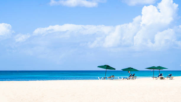 istock Barbados Beach and Port 1320747235