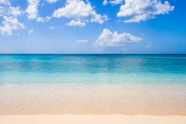 istock Barbados Beach and Port 1320747252