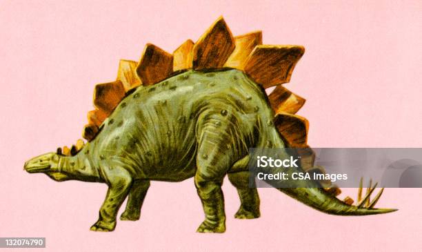 Stegosaurus Dinosaur Stock Illustration - Download Image Now - Stegosaurus, Illustration, Aggression