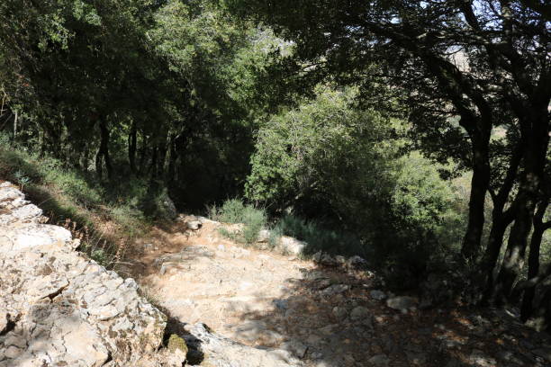 istock 4x4 tour in Crete 1320749354