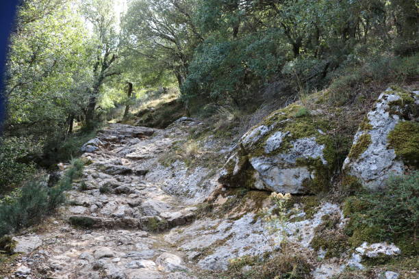 istock 4x4 tour in Crete 1320750044
