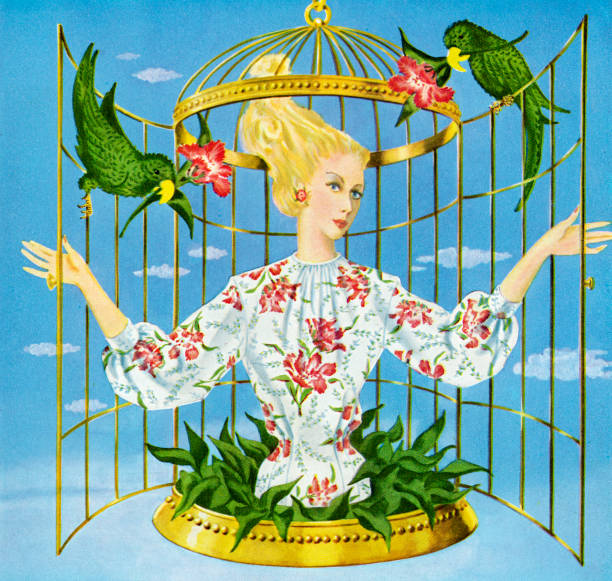 woman in birdcage - 鳥籠 插圖 幅插畫檔、美工圖案、卡通及圖標