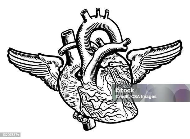 Coeur Avec Des Ailes De Poulet Vecteurs libres de droits et plus d'images vectorielles de Coeur - Organe interne - Coeur - Organe interne, Tatouage, Amour