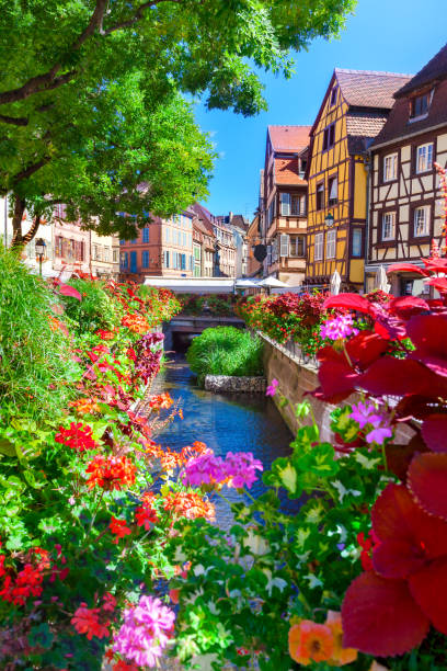 The traditional buildings in the old town of Colmar.