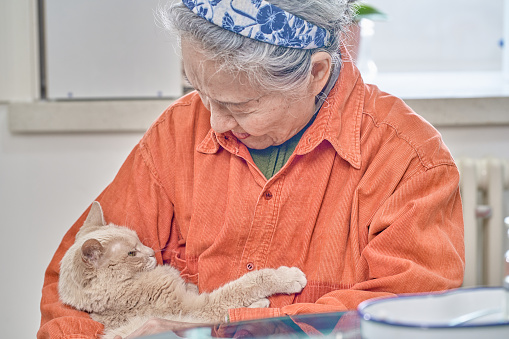 Close-up of a happy senior woman petting his domestic cat.