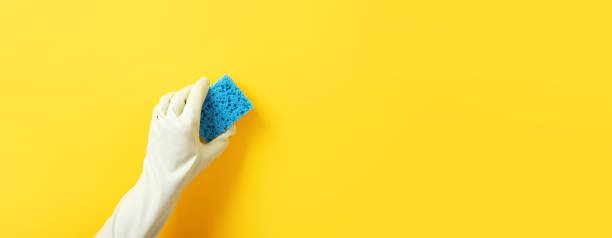istock hand in glove holding a cleaning sponge 1320764982