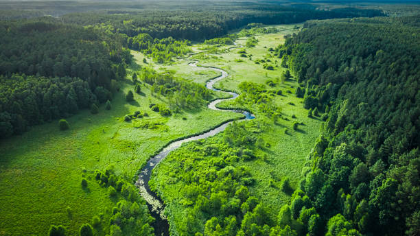 Curvy river and marshland. Aerial view of wildlife in Poland. Curvy river and marshland. Aerial view of wildlife in Poland. Nature in Europe. bory tucholskie stock pictures, royalty-free photos & images
