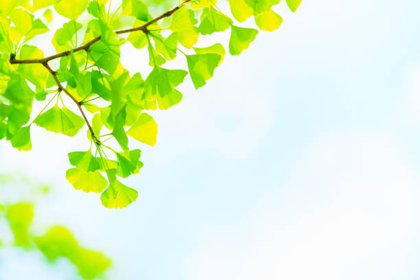 green society