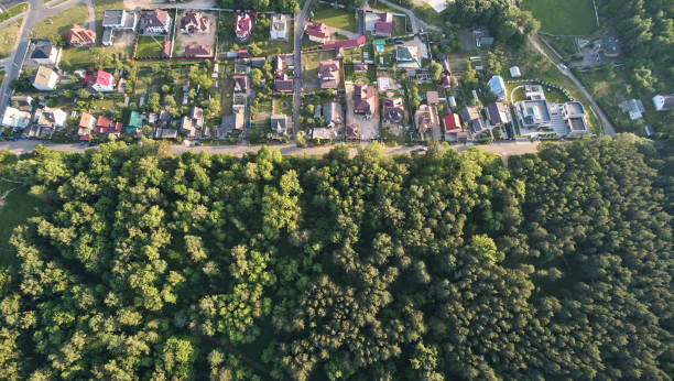 Town district in green park area
