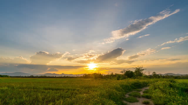 Rice field and sunrise 4K time lapse