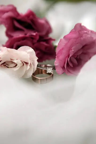 Photo of White gold wedding ring on flower background