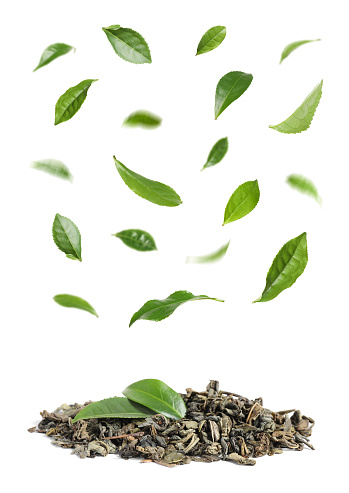 Dry and fresh tea leaves on white background