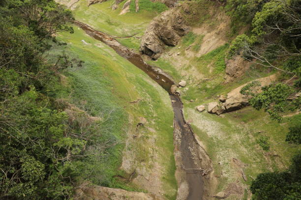 台湾の�干ばつ - global warming drought riverbank dirt ストックフォトと画像