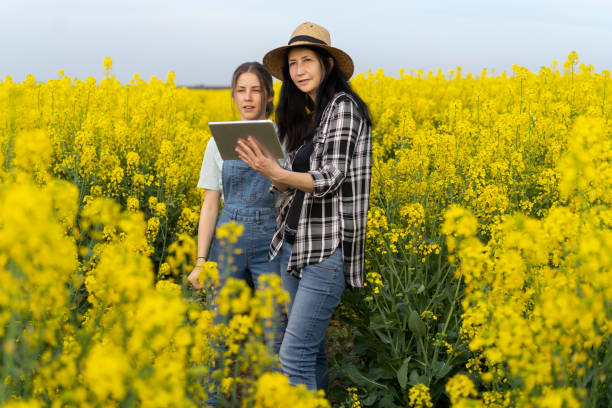 istock Women, rapeseed and technology 1320778862