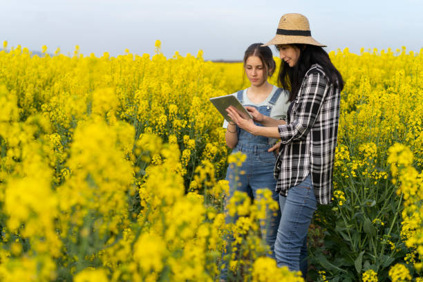 istock Rapeseed, women and technology 1320778863