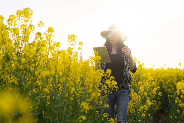 istock Agromonist standing in field of oilseed rape 1320778873