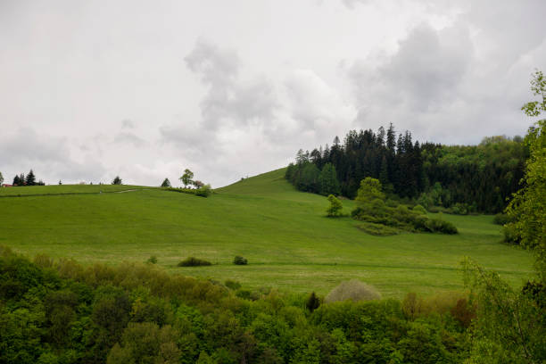 istock Green valley in the spring. Meadow and field with trees 1320779893