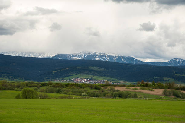 istock Green valley in the spring. Meadow and field with trees 1320781283