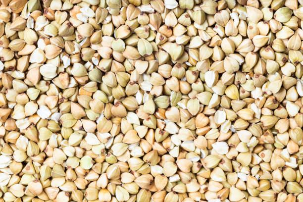 background - top view of raw green buckwheat - achene imagens e fotografias de stock