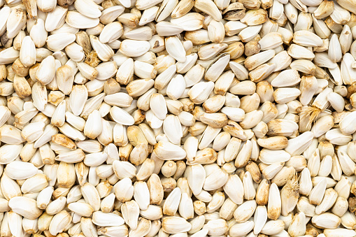 food background - many safflower seeds close up