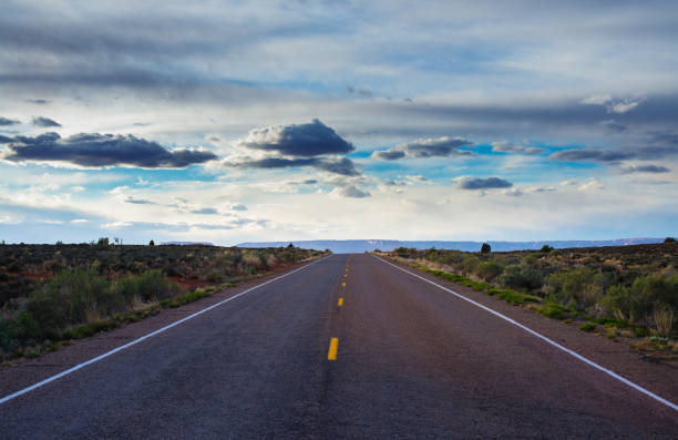 istock The road passing through the prairie. 1320784694
