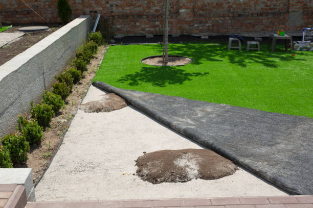 istock Mole hills under artificial turf in garden. Grass damage concept. 1320785535