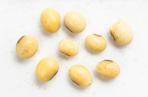istock several raw dried soybeans close up on gray 1320790730
