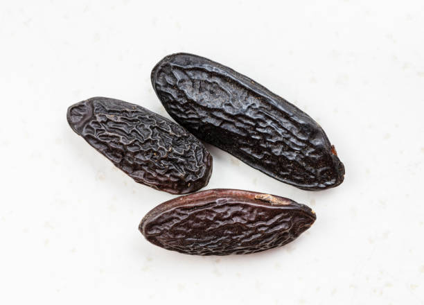 few dried tonka beans close up on gray stock photo