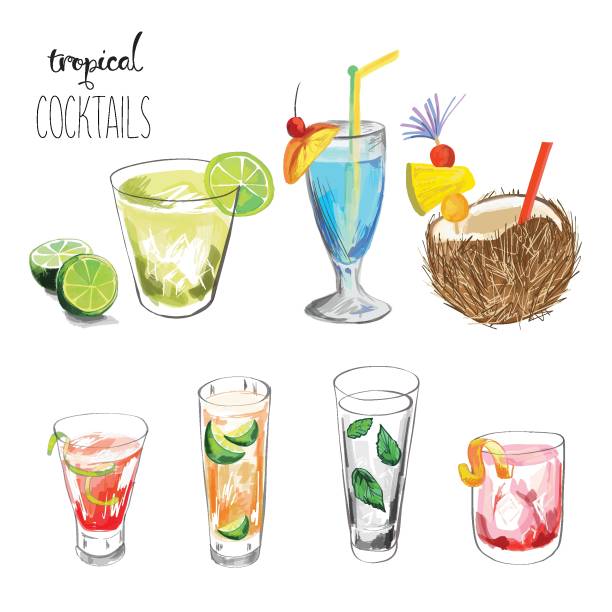 Set of tropical cocktails. Vector. tequila drink illustrations stock illustrations