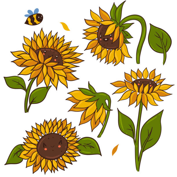 Set of cute kawaii sunflowers isolated on white background. Vector graphics. Set of cute kawaii sunflowers isolated on white background. Vector image. bee clipart stock illustrations