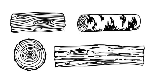 검은 윤곽선으로 손으로 그린 벡터 드로잉. 자작 나무 통나무, 장작, 나무 잘라. 구조 보드, 표면. 잉크 스케치. - birch bark birch tree textured stock illustrations