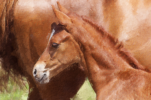 Oil painting showing foal with his mother on a sunny spring day.