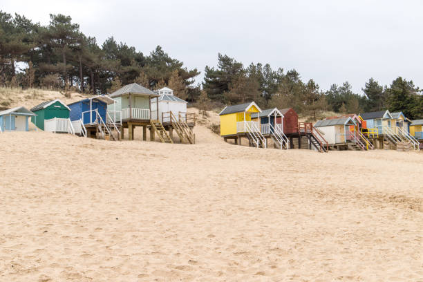 istock Row of beach huts on the sand dunes 1320796562