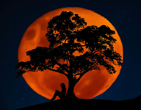 Full blood moon with southern cross stars in background as silhouette of a woman reading under the Lebanese cedar tree