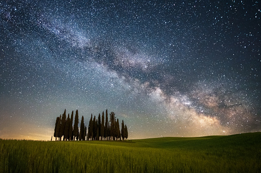 cypresses of San Quirico D'Orcia at night with milky way - Tuscany