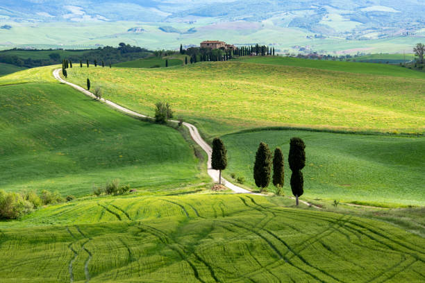 istock cypress road Gladiator`s Road - val d'orcia Tuscany, Italy 1320800758