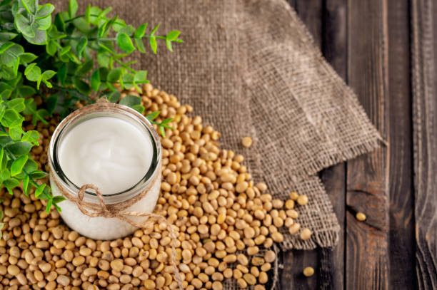 yogur casero a partir de leche de soja - soymilk fotografías e imágenes de stock