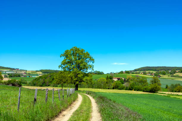 istock Landscape of the Monts du Lyonnais in spring 1320804942
