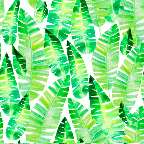 Jungle Leaf Pattern Illustrations, Royalty-Free Vector Graphics & Clip ...