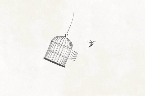illustration des kleinen vogels, der aus dem offenen vogelkäfig fliegt, surreale freiheit motivationskonzept - birdcage stock-grafiken, -clipart, -cartoons und -symbole