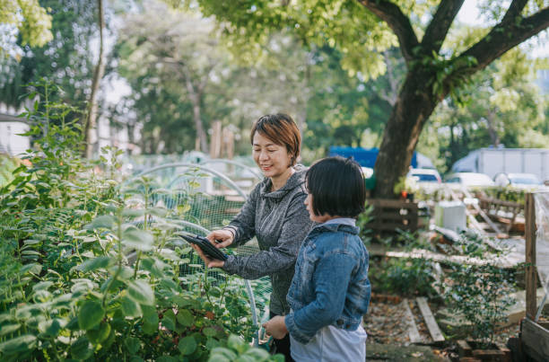 istock asian chinese mother explaining to her daughters on gardening plant using digital tablet at backyard of house 1320814218