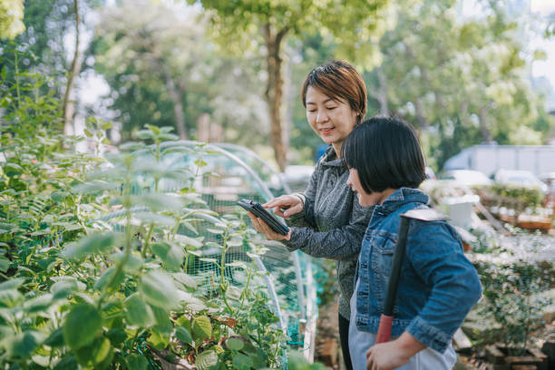istock asian chinese mother explaining to her daughters on gardening plant using digital tablet at backyard of house 1320814245