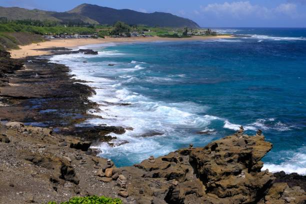 istock View of famous Sandy beach park Oahu HI 1320818886