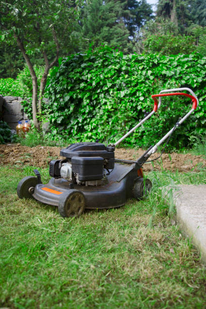 istock Electric power lawn mower 1320823095