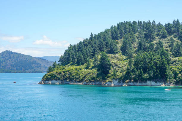 la vista di wellington - picton (interislander cook strait ferry), wellington, nuova zelanda. - cook strait foto e immagini stock