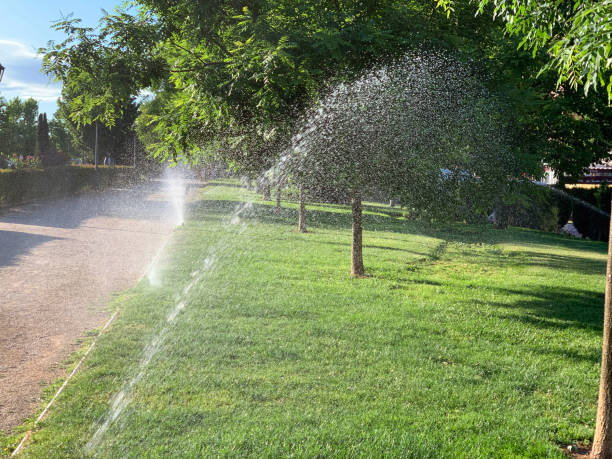 istock Sprinklers watering a park in the morning 1320824781