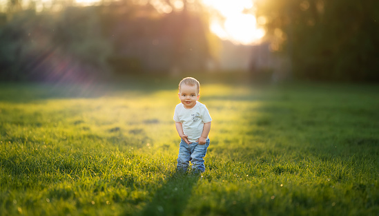 Little boy on a green lawn in jeans and a white t-shirt