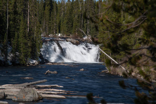 istock Lewis river waterfall in Southern Yellowstone 1320825567