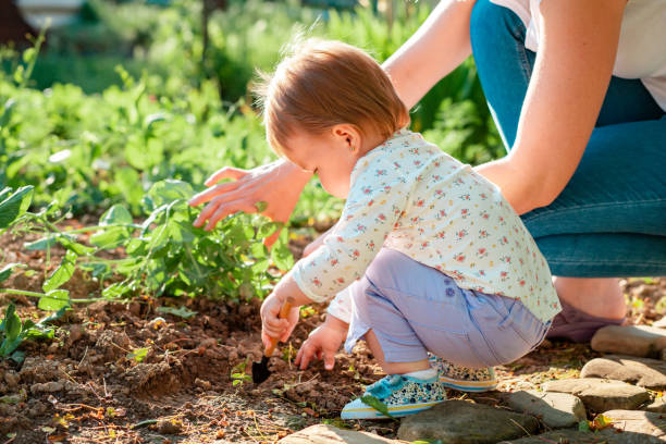 여름. 어린 아기는 아이의 삽으로 허브 침대를 잡초로 넣습니다. 근처의 어머니는 아이가 정원을 돌보는 데 도움이됩니다. 가족 원예의 개념 - baby toddler young women outdoors 뉴스 사진 이미지