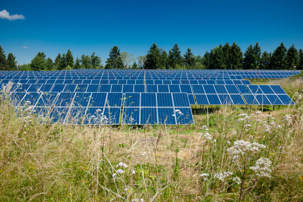 solar energy park stock photo